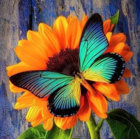 Meet your Posher, Rachel - Picture 2 of 3